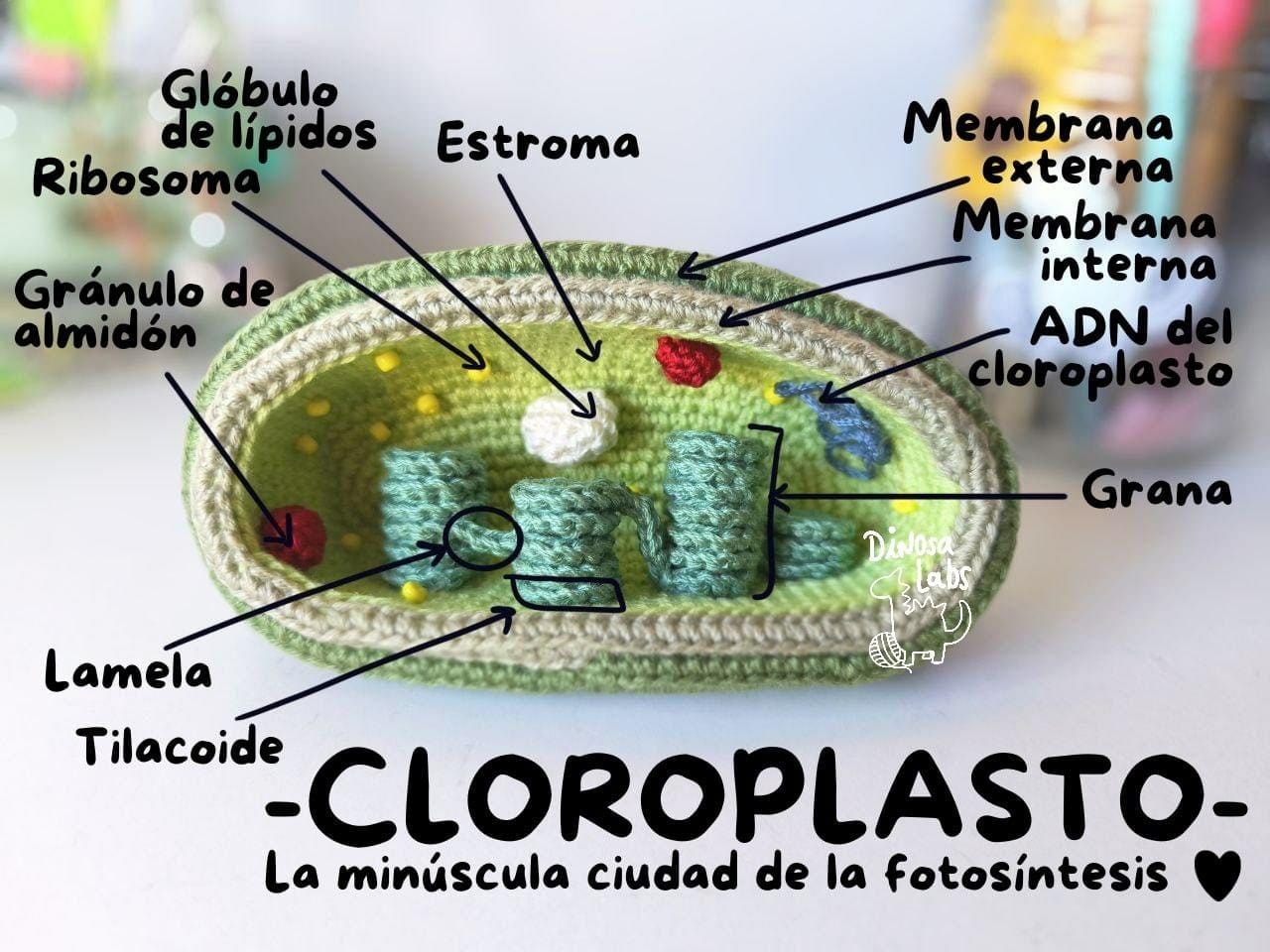 Weekend Reading — The Cone of Uncertainty