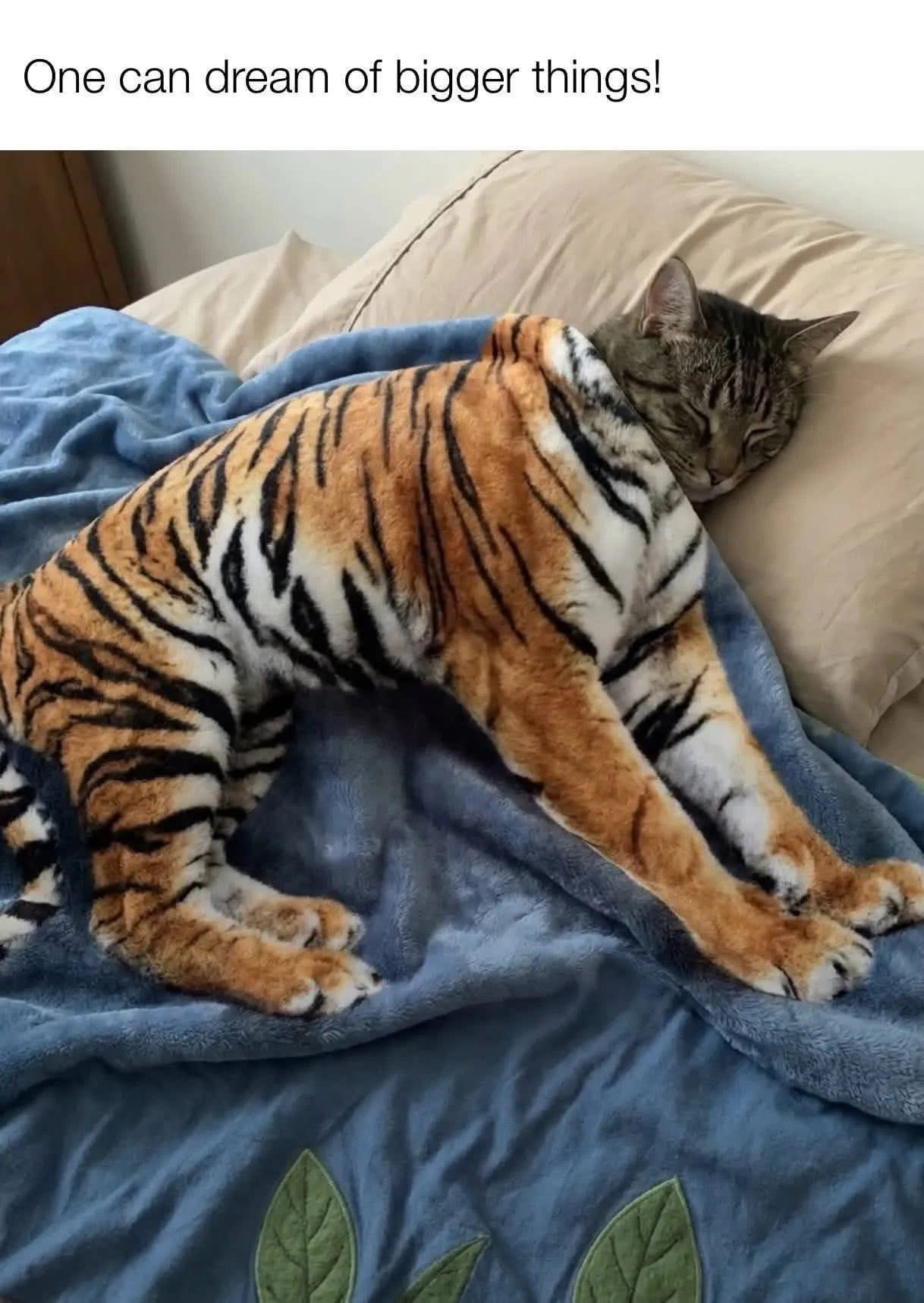 Weekend Reading — Dream of bigger things